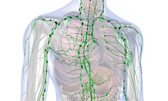 Critically Important and All but Ignored: Lymphatic Flow