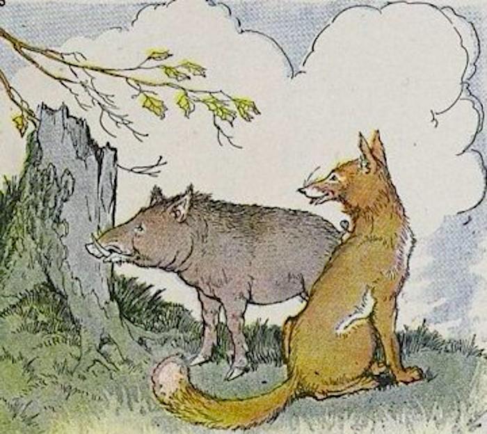 “The Wild Boar and the Fox” illustrated by Milo Winter, from “The Aesop for Children,” 1919. (PD-US)