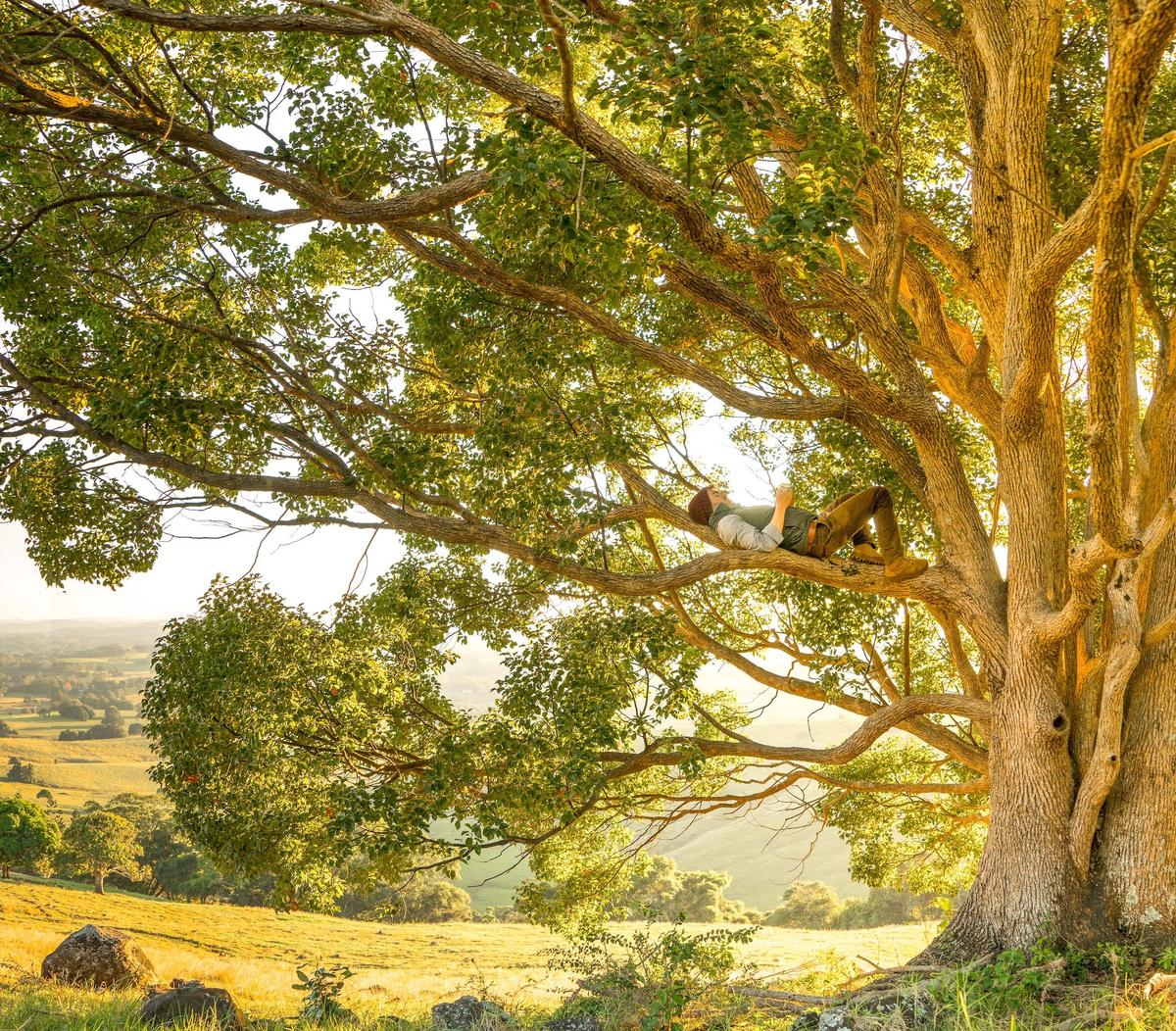 The Contending Forces Within