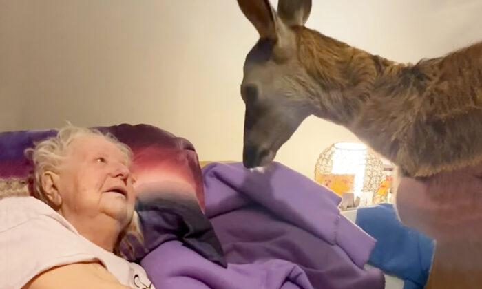 Magical Moment Woman Surprises Bambi-Obsessed Dying Mom With Bedside Visit From a Fawn