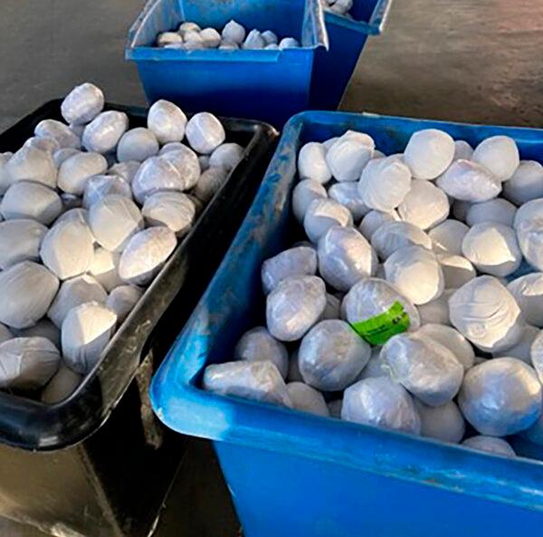 The Otay Mesa commercial facility where authorities discovered almost 1,200 small packages of methamphetamine hidden within a shipment of onions on Feb. 13, 2022. (U.S. Customs and Border Protection via AP)