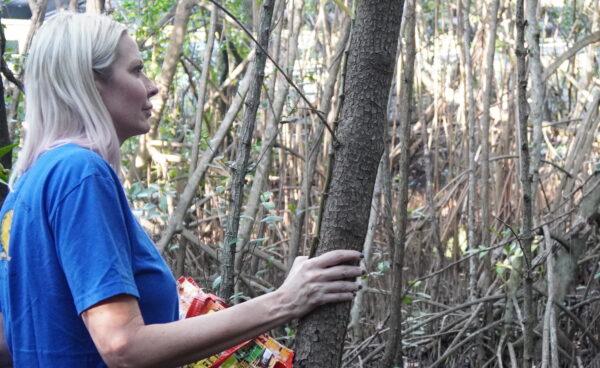 Dr. Missy Williams scans the mangrove forest for vervet monkeys on Feb. 25, 2022. (Jann Falkenstern/The Epoch Times.)
