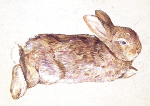 Drawing of a rabbit (Peter Piper), circa 1892, by Beatrix Potter. Victoria and Albert Museum, London. (Victoria and Albert Museum, London/Courtesy of Frederick Warne & Co. Ltd.)
