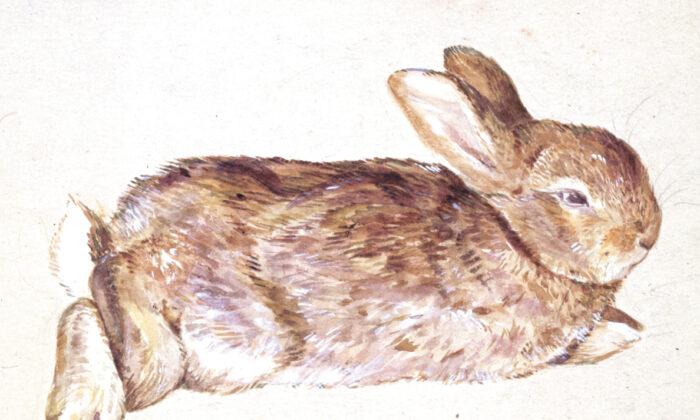 More Than Bunnies: Beatrix Potter’s Surprising Legacy