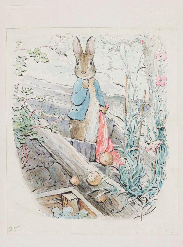 "Peter With Handkerchief," 1904, by Beatrix Potter. A watercolor and pencil book illustration for "The Tale of Benjamin Bunny." National Trust. (National Trust images)