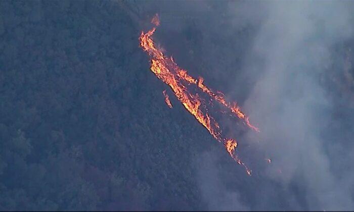 Wildfire Burning in Southern California Forest