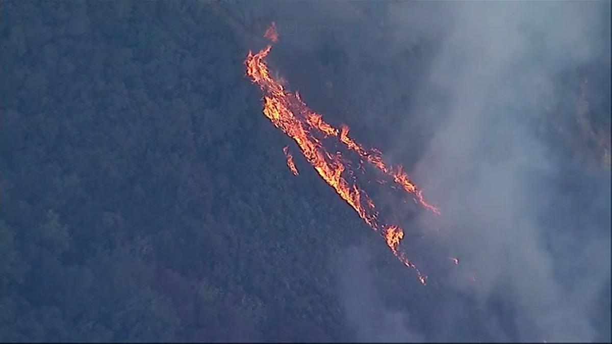 Wildfire Burning in Southern California Forest