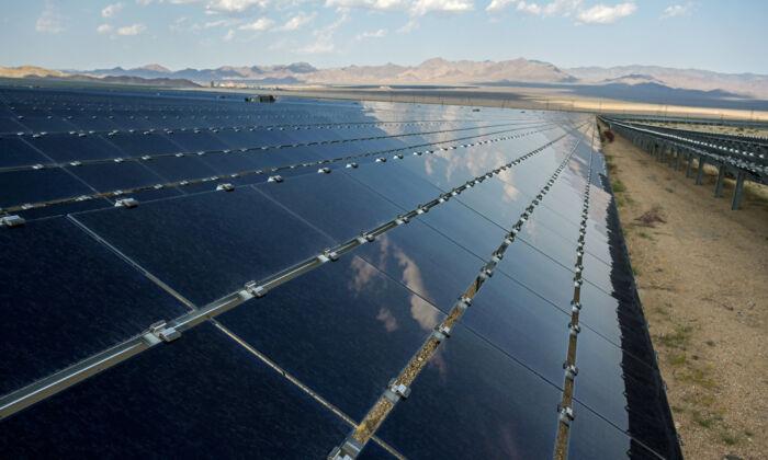 Large-Scale Solar Installations Can Threaten Natural Landscapes, Species, Habitats