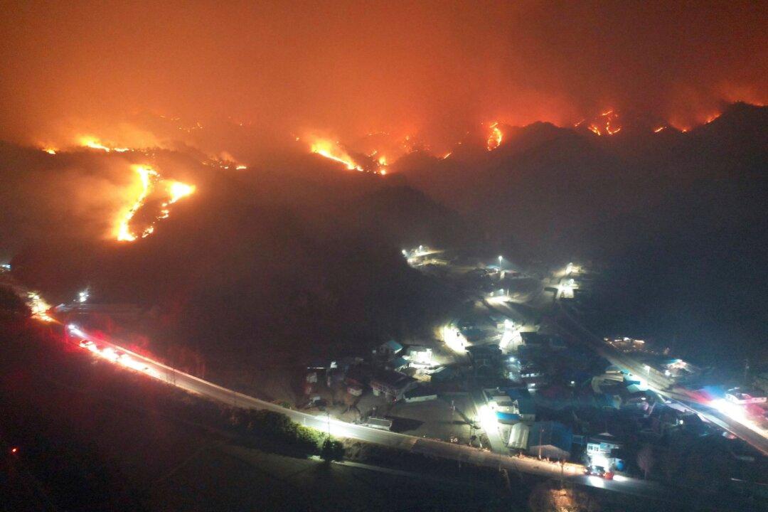 South Korean Nuclear Power Plant Protected From Wildfire as Thousands Flee Their Homes