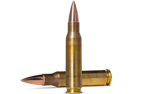 The company Ammo Inc. has sent 1 million bullets to Ukraine and expects them to arrive in that country over the next few days. (Courtesy of Ammo Inc.)