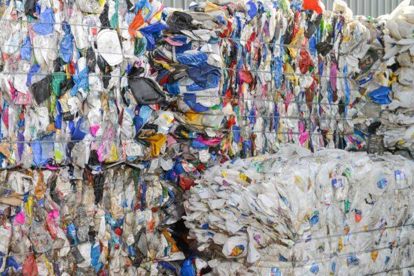 Recycled plastic bottles on April 17, 2019. (Brenton Edwards/AFP via Getty Images)