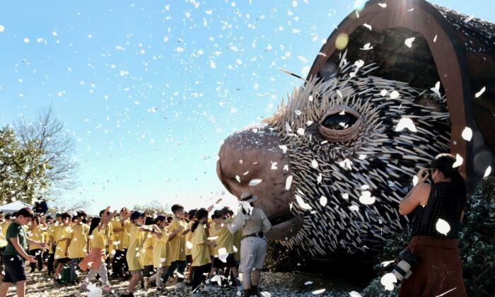 Quills and Thrills as Prodigious Porcupine Puppet Unveiled