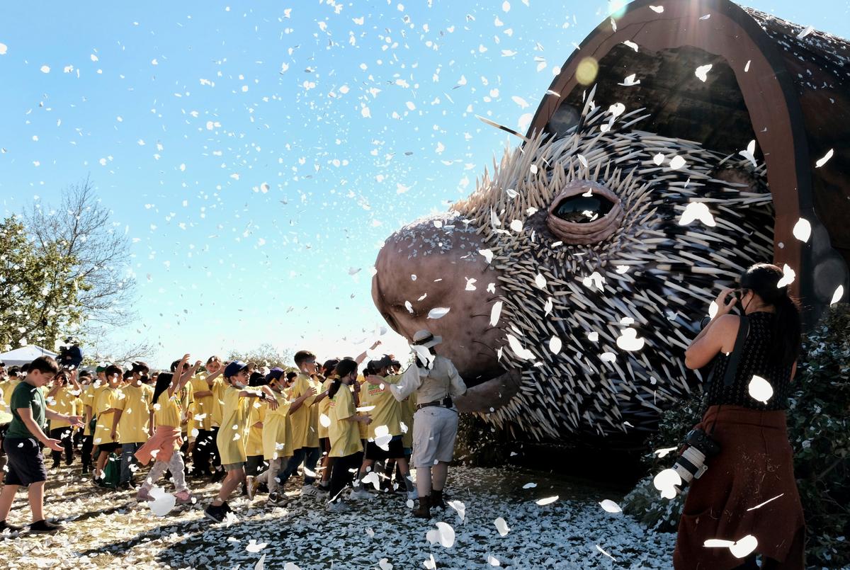 Quills and Thrills as Prodigious Porcupine Puppet Unveiled