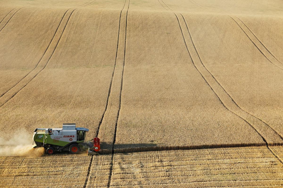 Russia Must Prioritize Domestic Grain Supplies for Bread, PM Says