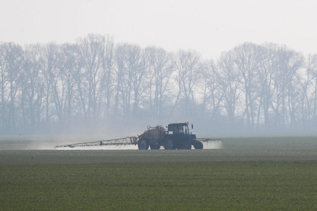 Ukraine War Triggering Global Food Crisis, Possible Rise in ‘Chronically Hungry People’