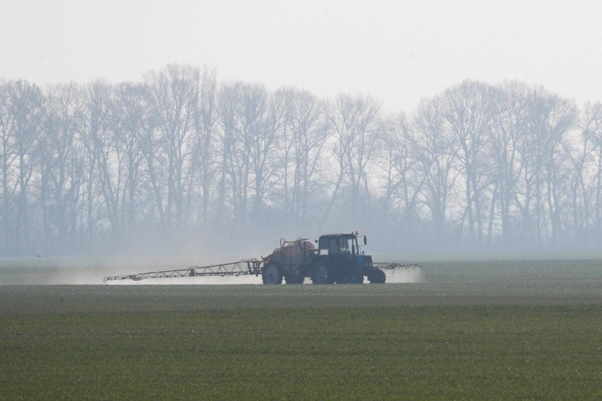 An agricultural worker drives a tractor spreading fertilizers to a field of winter wheat near the village of Husachivka in the Kyiv region, Ukraine, on April 17, 2020. (Valentyn Ogirenko/Reuters)