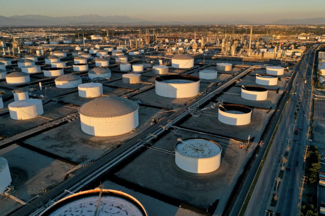 Petroleum, Food Lift US Import Prices in February