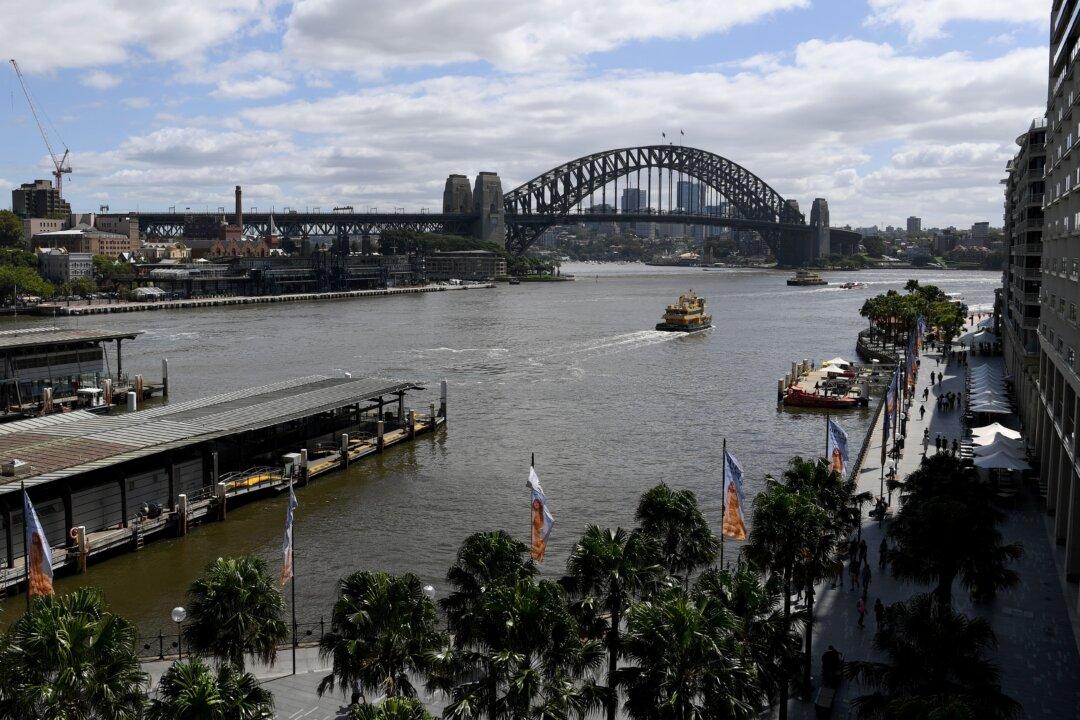 Sydney Harbour Water Turns Brown From Floods