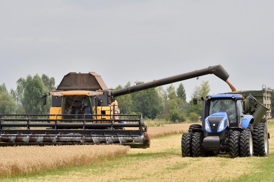 Top US General Floats ‘Military Options’ to Help Export Grain from Ukraine