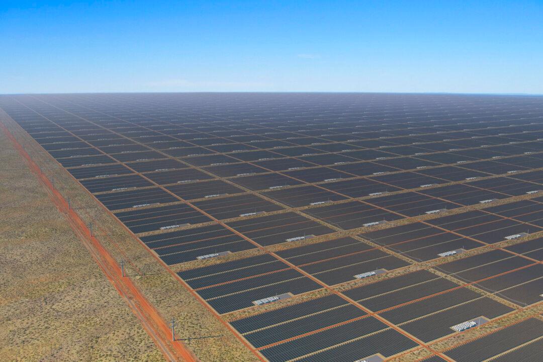 Queensland Farmer Says Massive Solar Project Could ‘Destroy’ Him