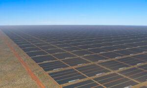 Queensland Farmer Says Massive Solar Project Could 'Destroy' Him