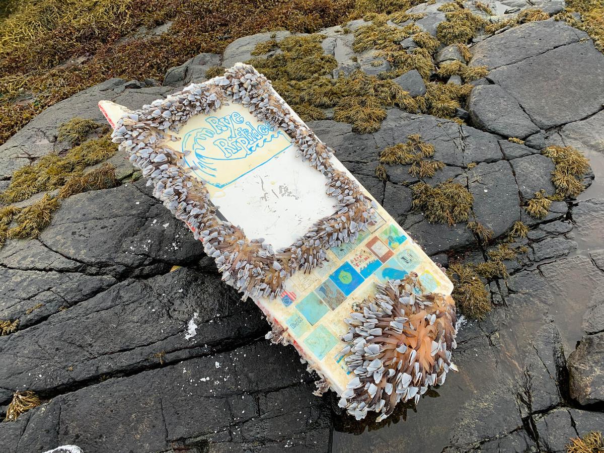 After its 462-day journey, Rye Riptides washed ashore in Norway. (Courtesy of Mariann Nuncic via <a href="https://educationalpassages.org/">Educational Passages</a>)
