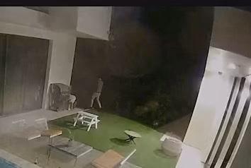 The intruder on Mandy Madden Kelley's property in Los Angeles. (Courtesy of Mandy Madden Kelley)