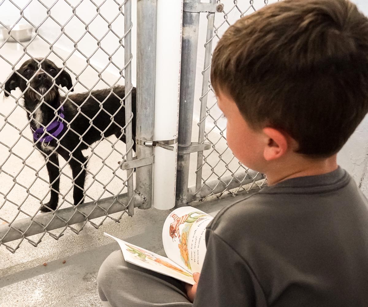 Karl Gottfried III reads to a new friend at the Gulf Coast Humane Society on March 12, 2022. (Jann Falkenstern/The Epoch Times)