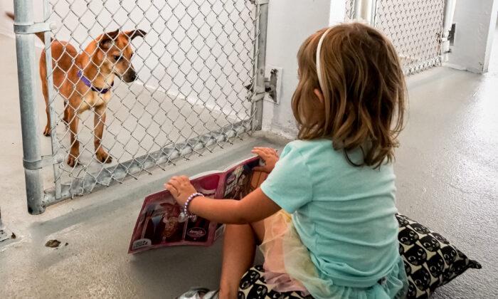 Reading Is ‘Going to the Dogs’ in Southwest Florida