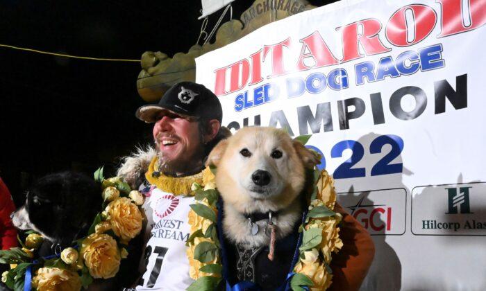 Brent Sass Wins His 1st Iditarod Sled Dog Race Across Alaska