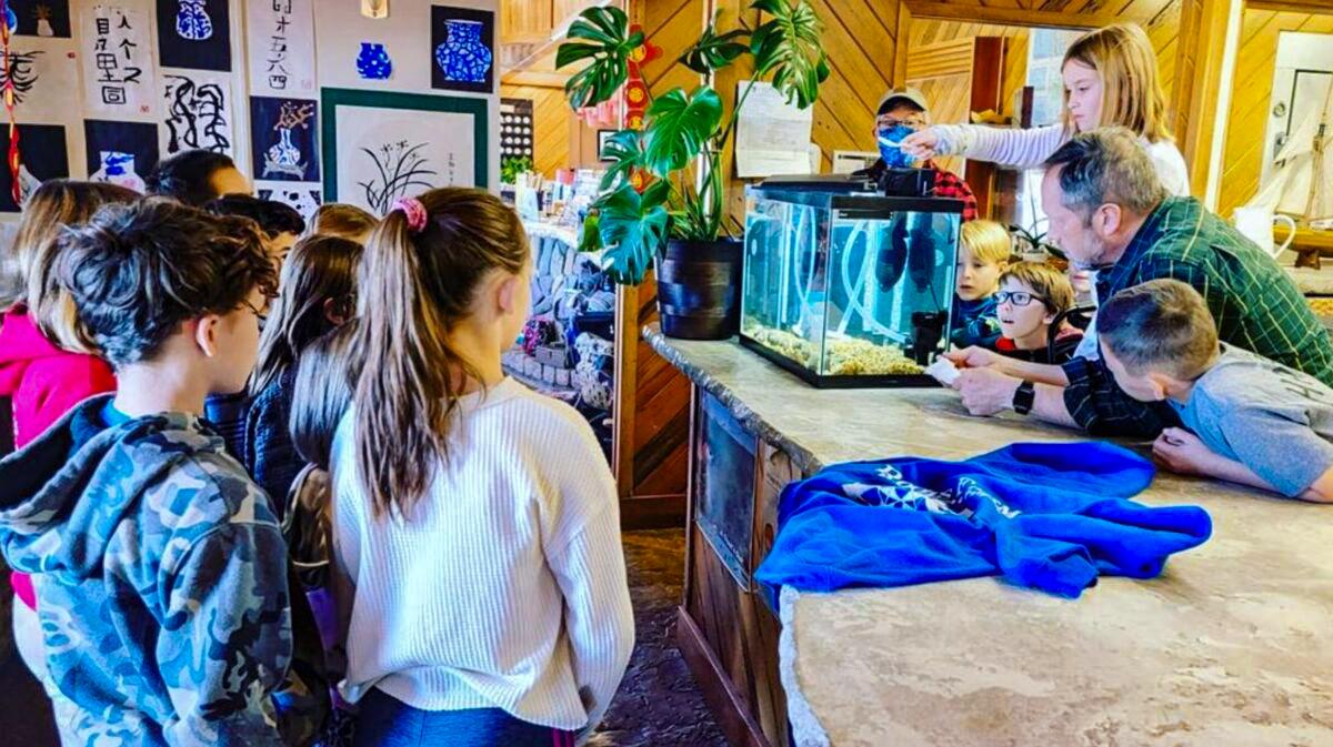 California Teacher Finds New Calling Amid Pandemic Mandates