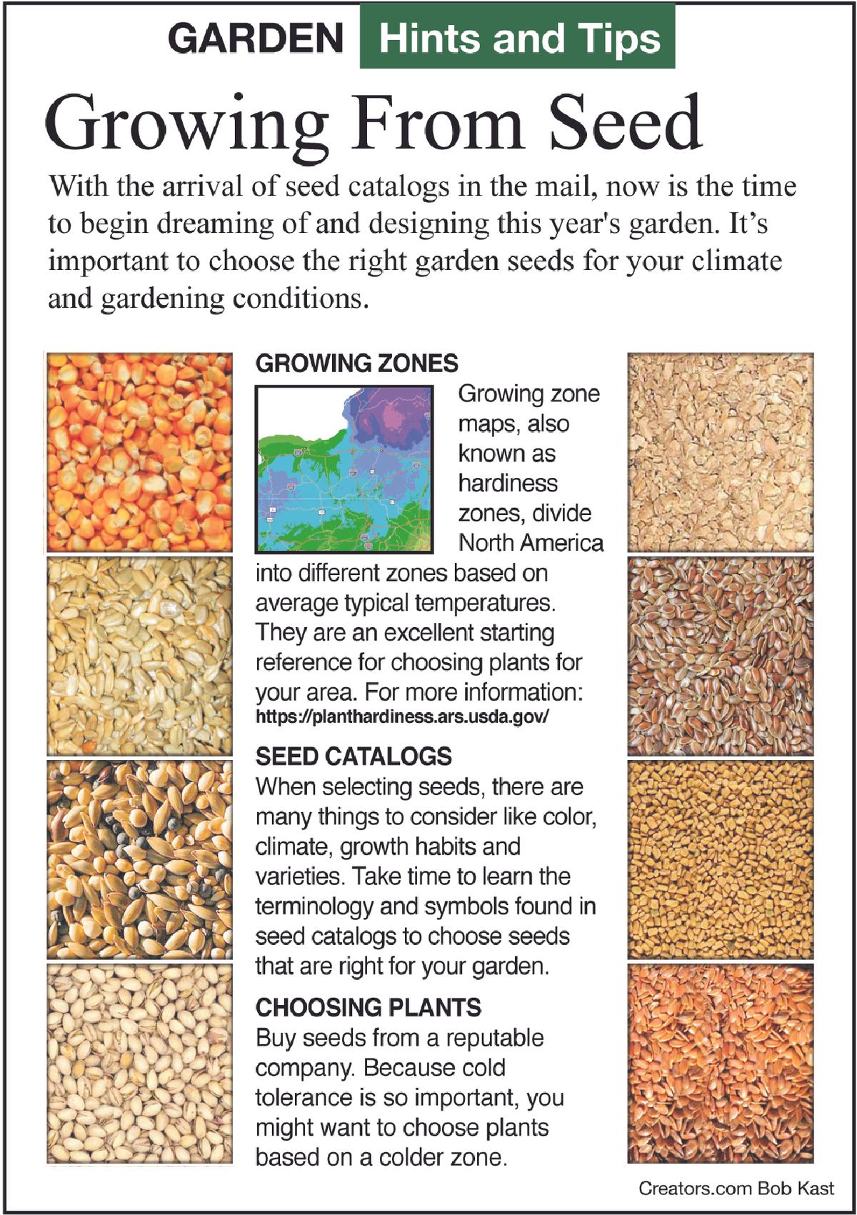 growing from seed tip sheet