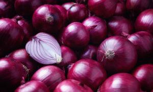Onions Put to the Test for Weight Loss, Cholesterol, and PCOS Treatment