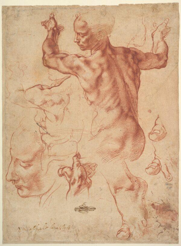 Studies for the Libyan Sibyl, 1510–1511, by Michelangelo Buonarroti. Red and white chalk; 11 3/8 inches by 8 7/16 inches. Joseph Pulitzer Bequest, The Metropolitan Museum of Art. (Public Domain)