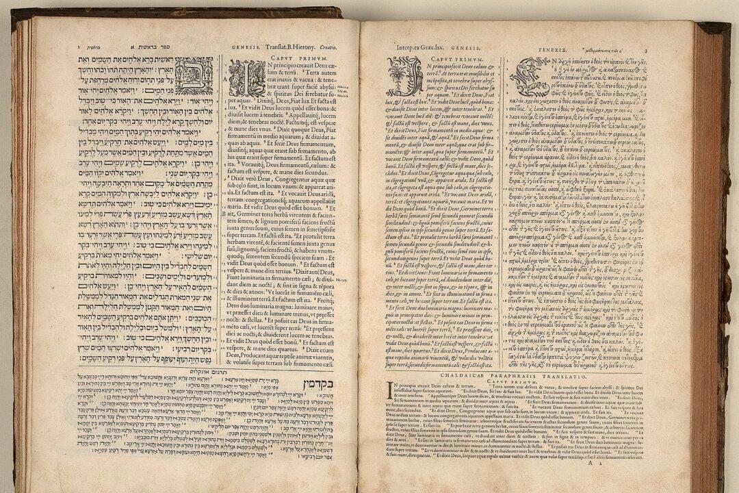 Book Review: ‘The Department of Rare Books and Special Collections’