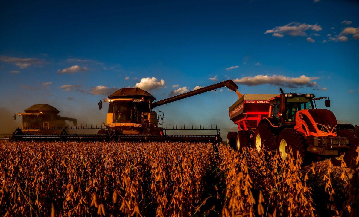 Combine harvesters crop soybeans in a field at Salto do Jacui, in Rio Grande do Sul, Brazil, on April 7, 2021. (Silvio Avila/AFP via Getty Images)