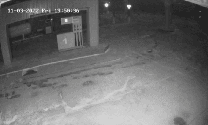 Footage Shows Shooting at Gas Station in Ukrainian City