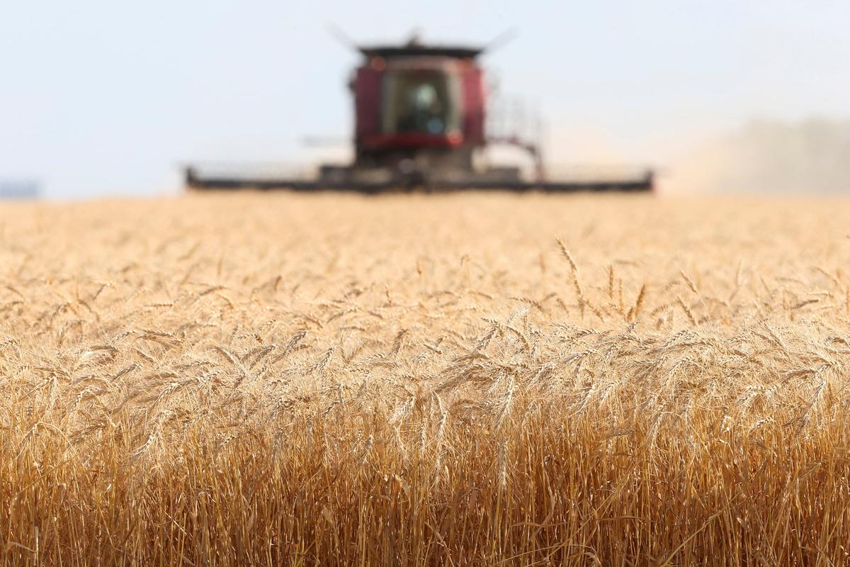 Canada’s Sustainable Agriculture Strategy Raises Concerns for Farmers