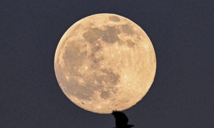 Worm Moon Signals Return of Spring