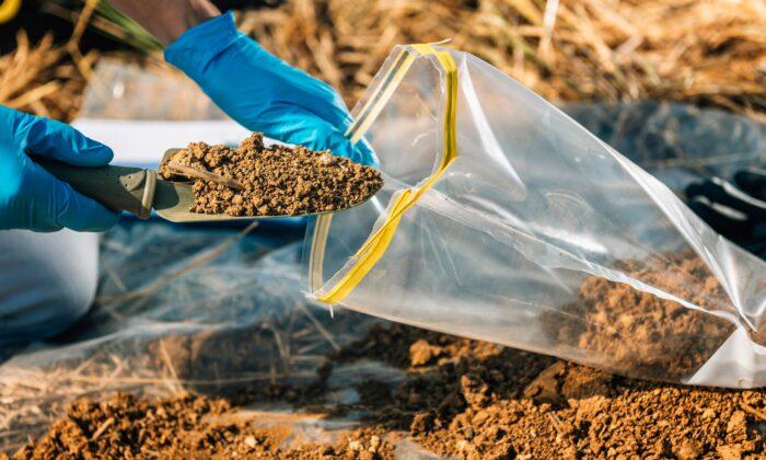Where to Get Your Garden Soil Tested (State-by-State U.S.)