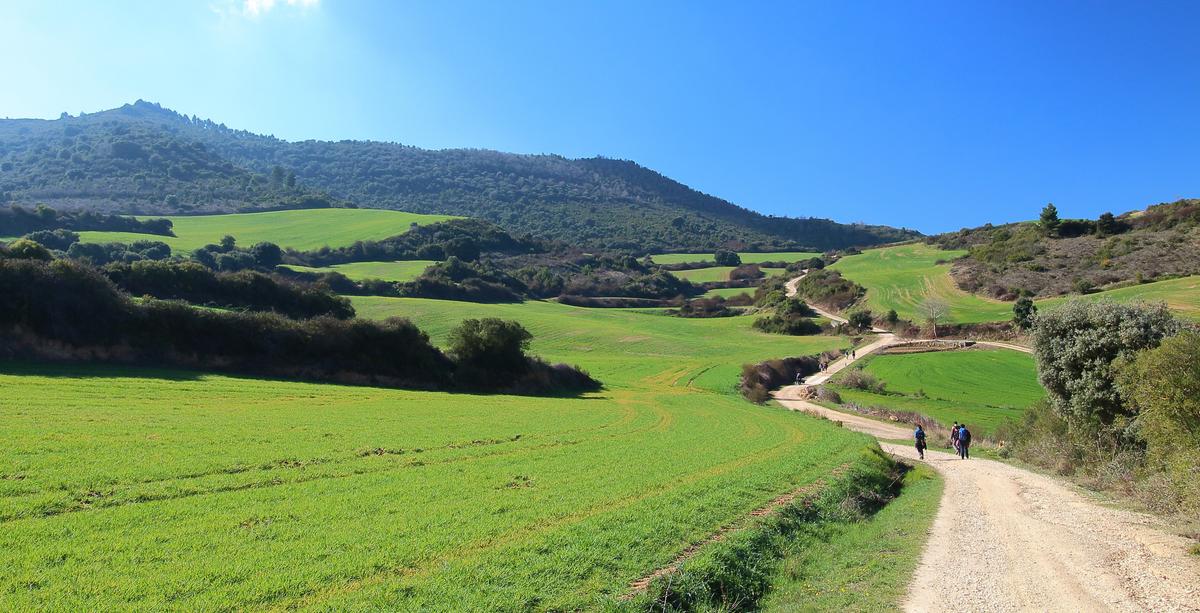 Pilgrims walking through endless green fields under the sun of a beautiful spring morning, Camino de Santiago, Navarra, Spain. (Nacho Such/Shutterstock)