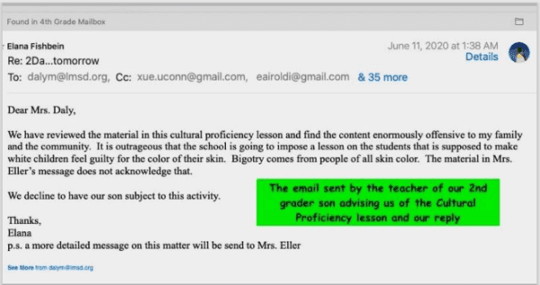 Screenshot of email sent from Elana Fishbein to her son's fourth grade teacher informing her she is opting her son out of the "enormously offensive" cultural proficiency lesson. (Courtesy of Elana Fishbein)