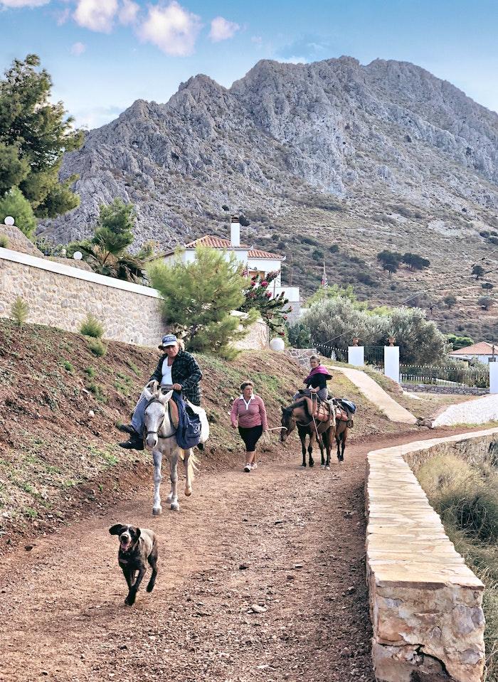 Donkeys are still used as a means of transport on Hydra. (Despina Galani/Unsplash)