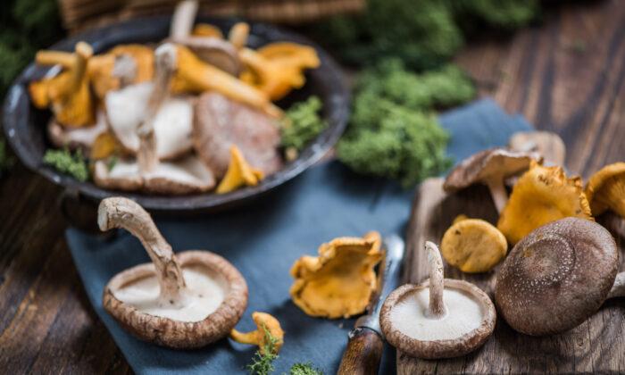 A Fall Mushroom Feast With Nutritional Punch