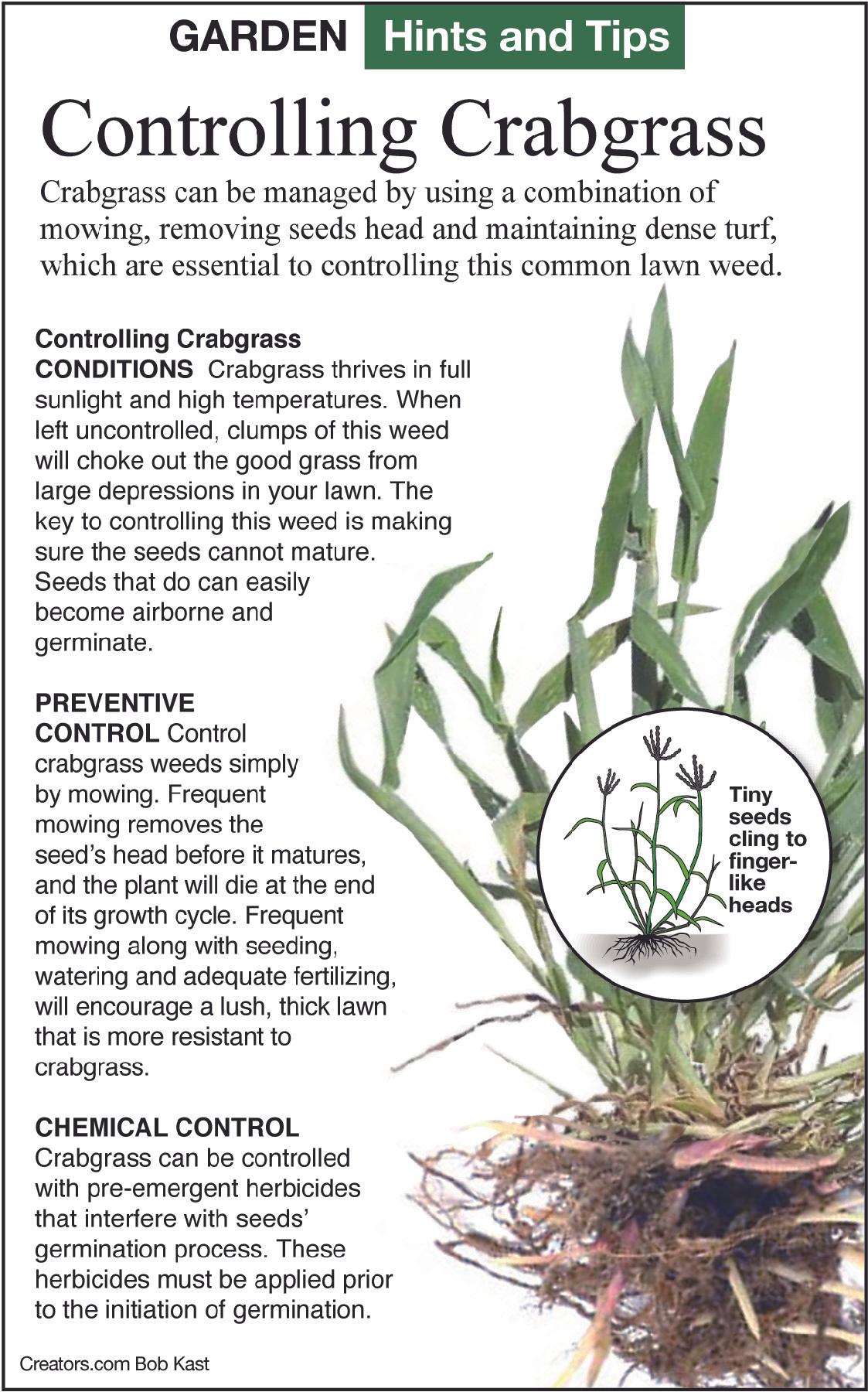 controling crabgrass tip sheet