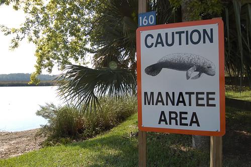 Signs like these along Florida's coastlines alert boaters to the presence of manatees. (Courtesy of the U.S. Fish and Wildlife Service)