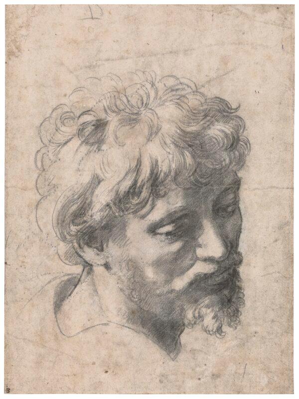 "Study for the Head of an Apostle in the Transfiguration" by Raphael. Private Collection, New York. (Private Collection)