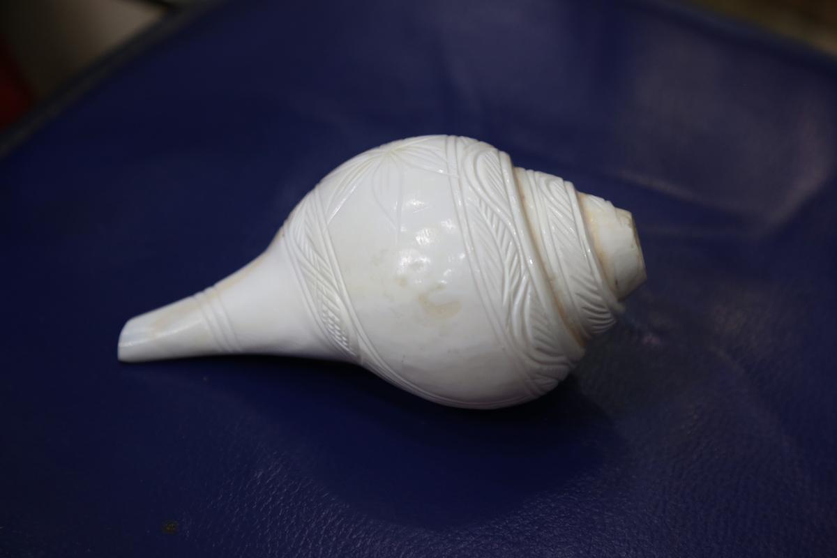 Conch shell or shankh. (Sanjeev Kumar Sanju/Shutterstock)