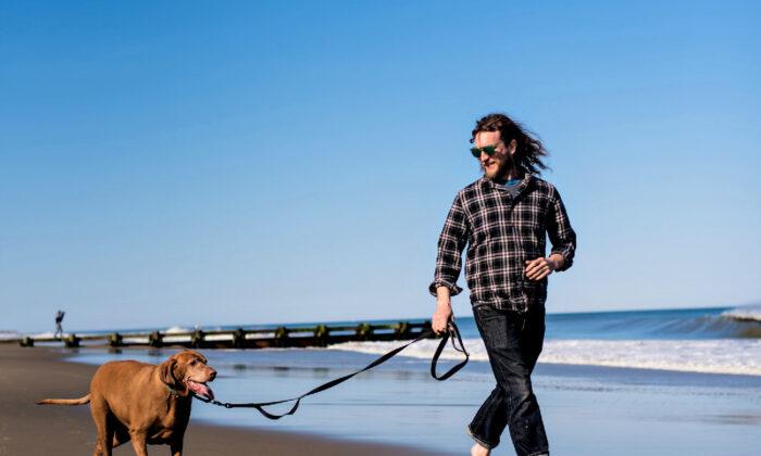 Beachbound in Dog-Friendly Delaware’s Off Season