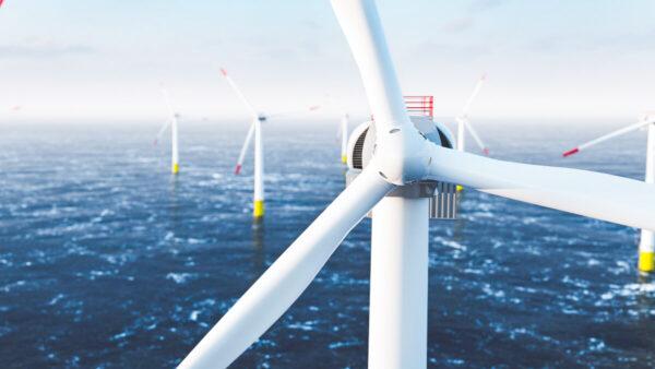 Offshore wind farm. (Photocreo Bednarek/Adobe Stock)